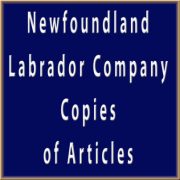 Copies of Articles for a Newfoundland & Labrador Company