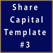 Share Capital - Template 3